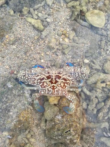 Others 2, Ohiyo, Penghu