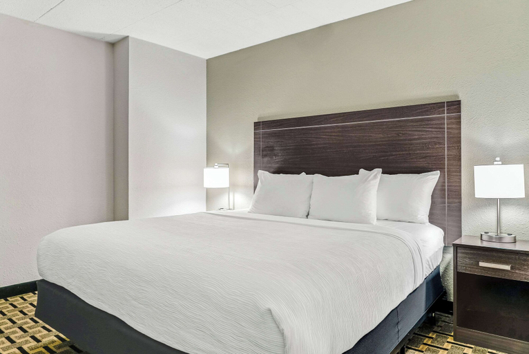 Bedroom 2, Quality Inn Detroit Downtown, Wayne