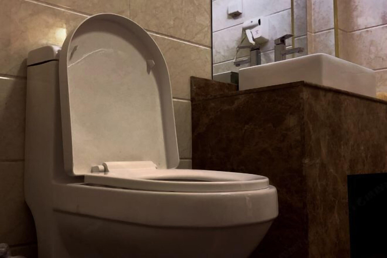 Bathroom 4, Wuzhou Hotel, Jinchang
