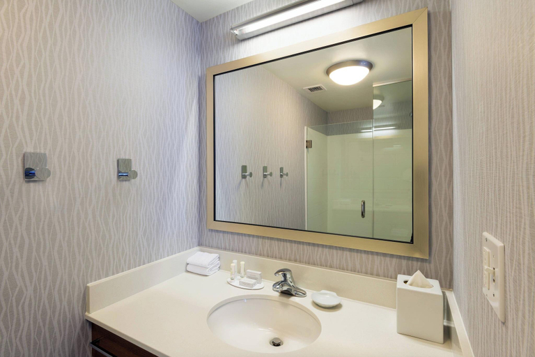 Bathroom 5, SpringHill Suites Louisville Downtown, Jefferson