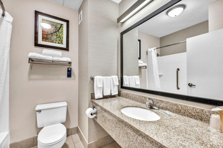 Bathroom 4, Fairfield Inn & Suites Lumberton, Robeson