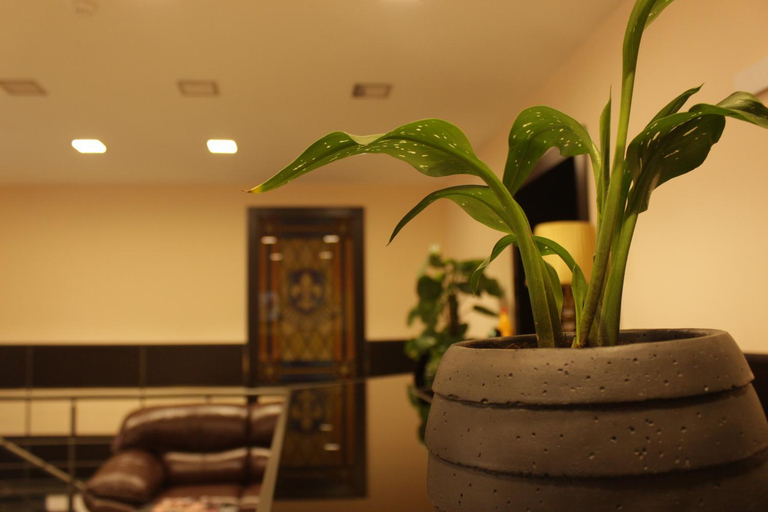 Others 4, Hotel Lilia Yerevan, Yerevan