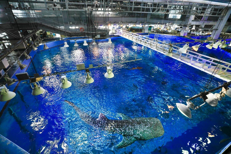 Sport & Beauty 5, Yukurina Resort Okinawa, Motobu