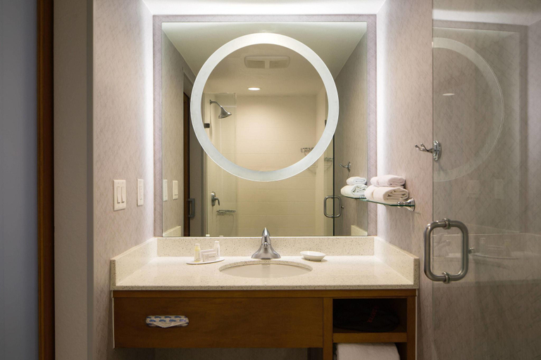 Bathroom 4, SpringHill Suites by Marriott Miami Downtown/Medical Center, Miami-Dade