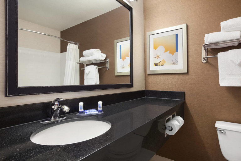 Bathroom 4, Fairfield Inn & Suites Lansing West, Eaton