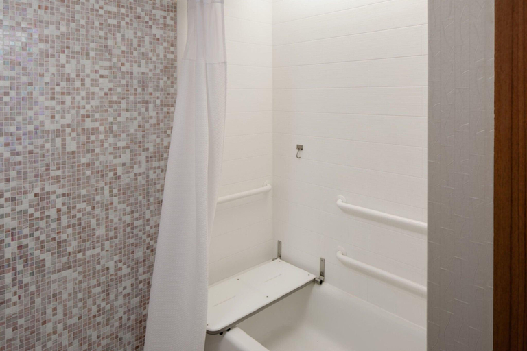 Bathroom 4, Springhill Suites Detroit Metro Airport Romulus, Wayne
