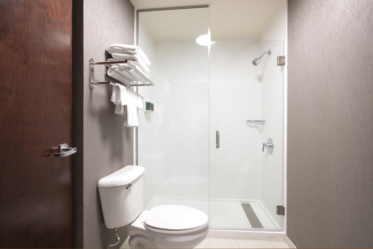 Bathroom 5, SpringHill Suites Savannah Airport, Chatham