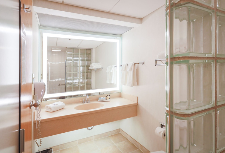 Bathroom 4, Gateway Hotel and Conference Center, Story