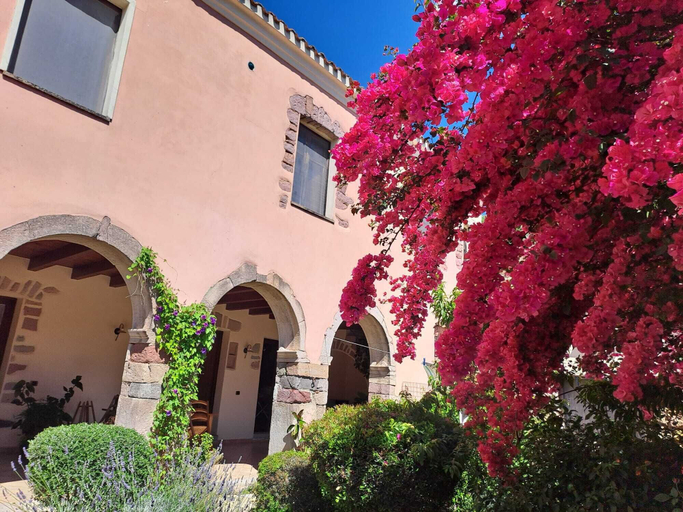 Exterior & Views 2, B&B S'Omu Antiga, Oristano