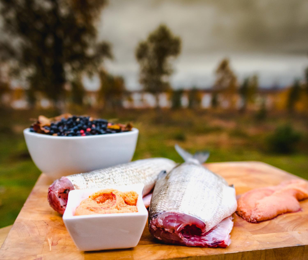 Others 4, Arctic gourmet cabin, Kiruna