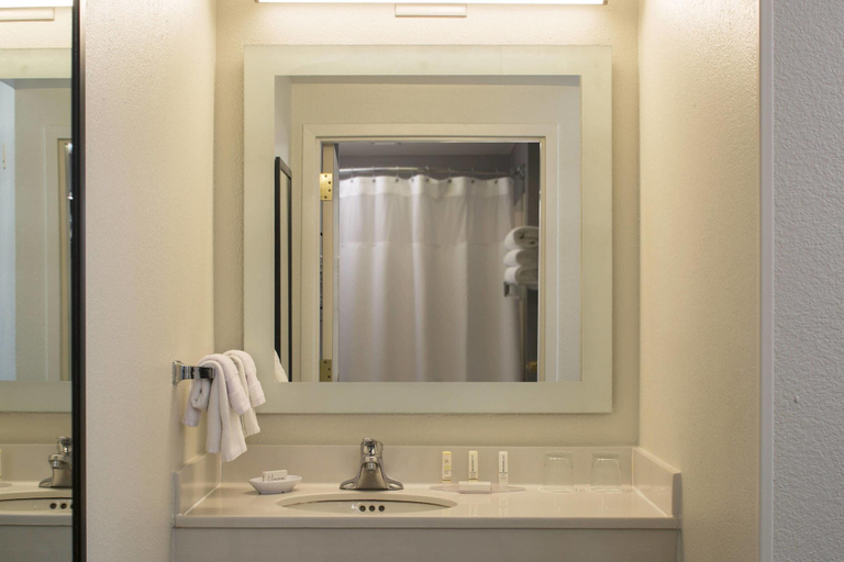 Bathroom, SpringHill Suites Chicago Lincolnshire, Lake