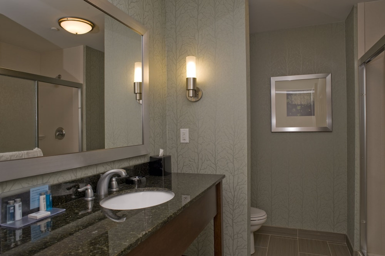 Bathroom 4, Hampton Inn Anderson/Alliance Business Park, Anderson