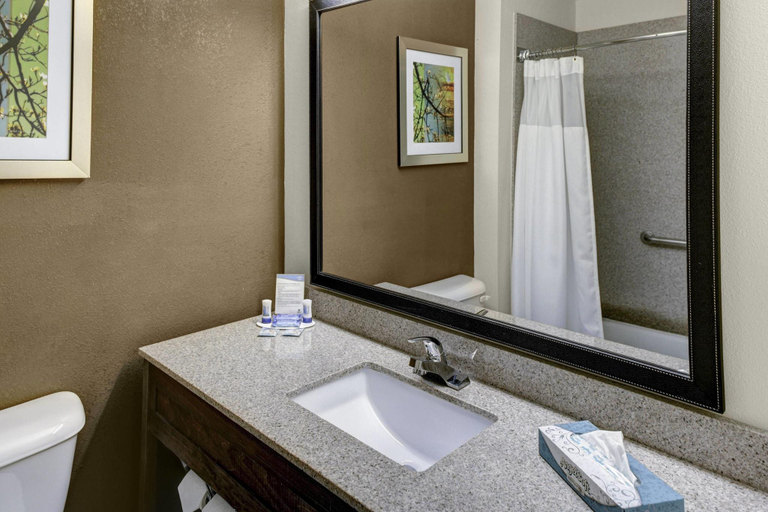 Bathroom 4, Fairfield Inn Dothan, Houston