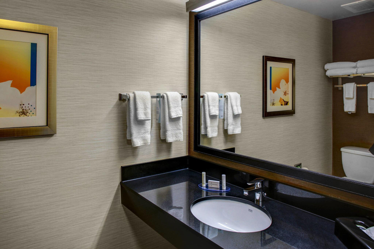 Bathroom 4, Fairfield Inn & Suites Emporia I-95, Emporia