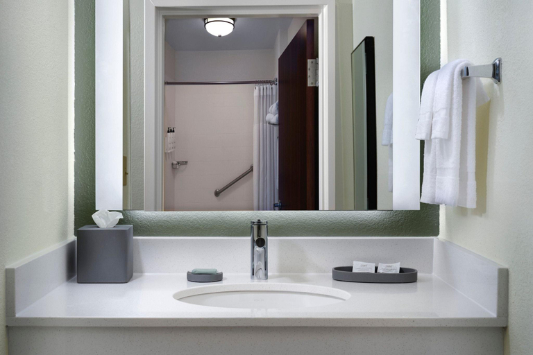 Bathroom 4, Springhill Suites By Marriott Metro Center, Davidson