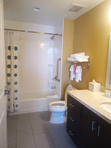 Bathroom 4, TownePlace Suites Carlsbad, Eddy