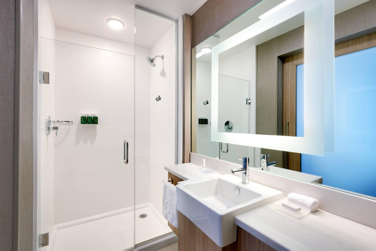 Bathroom 4, Springhill Suites By Marriott Colorado Springs Nor, El Paso