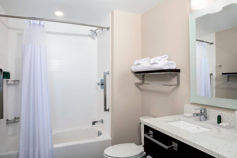 Bathroom 4, Towneplace Suites Orlando Theme Parks/Lbv, Orange