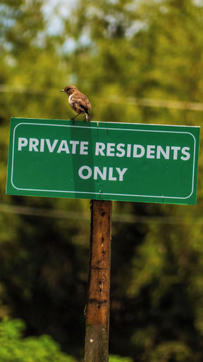 Others 3, Anabas Mount Kenya Lodge, South Imenti