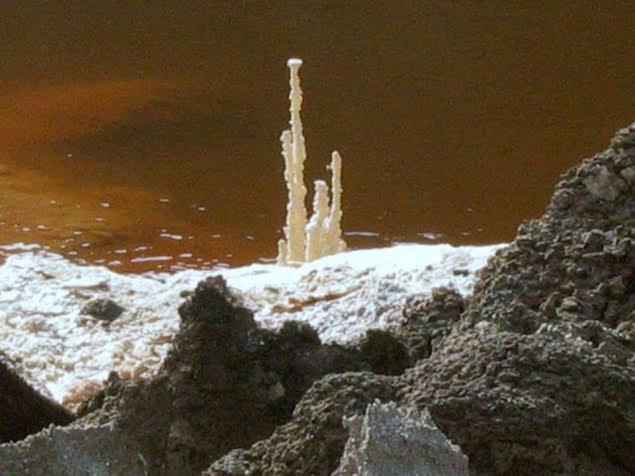 Surrounding environment 5, Dead Sea Rooms Neve Zohar