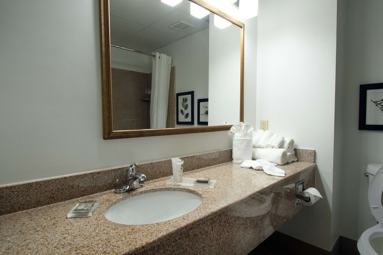 Bathroom 4, Country Inn & Suites by Radisson, Augusta at I-20, GA, Richmond