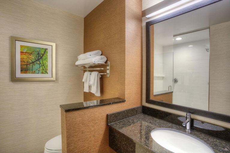 Bathroom 5, Fairfield Inn & Suites Austin San Marcos, Hays