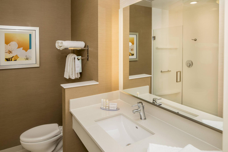 Bathroom 4, Fairfield Inn & Suites Pittsburgh North/McCandless, Allegheny