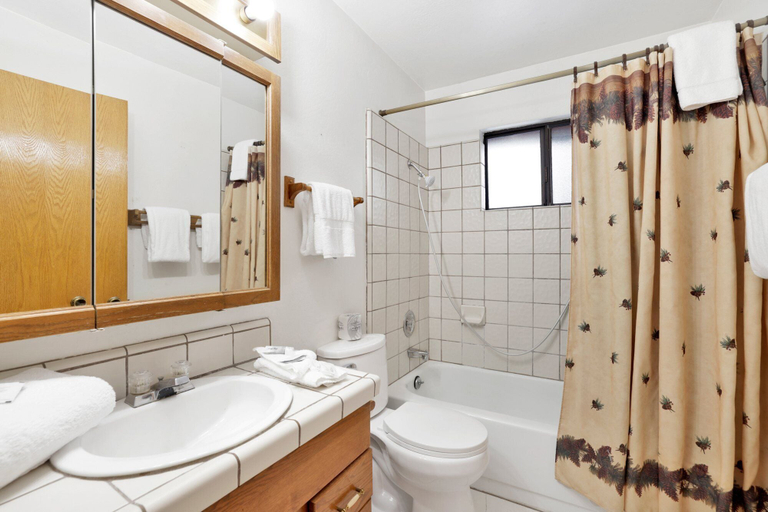 Bathroom 4, R & R Retreat #1767, San Bernardino