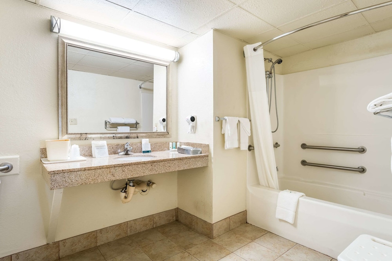 Bathroom 4, Quality Inn Battleboro - Rocky Mount, Nash