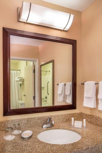 Bathroom 4, Springhill Suites by Marriott Laredo, Webb