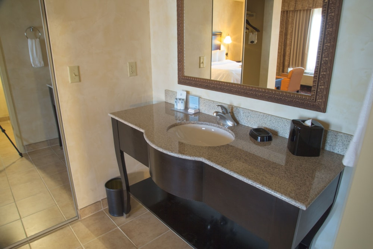 Bathroom 3, Hampton Inn & Suites Dallas Arlington N Entertainment Dist., Arlington