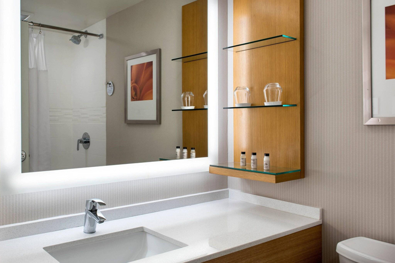Bathroom 3, Delta Hotels by Marriott Utica, Oneida