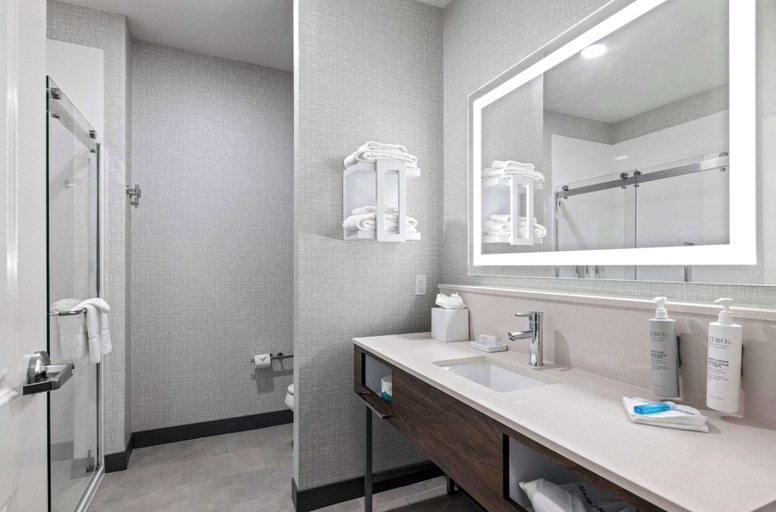 Bathroom 5, Hampton Inn & Suites Mount Pleasant, Titus