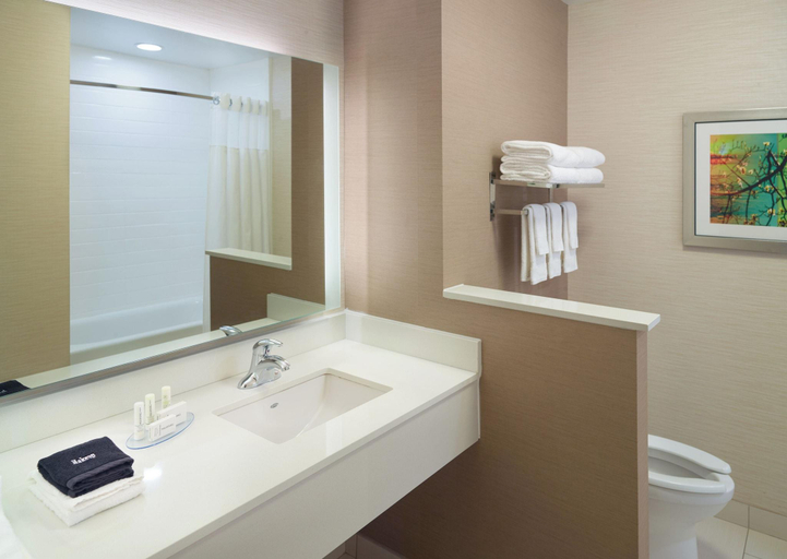 Bathroom 4, Fairfield Inn Suites Hendersonville Flat Rock, Henderson