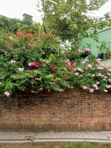 Exterior view, Jardin Secreto, Rosario
