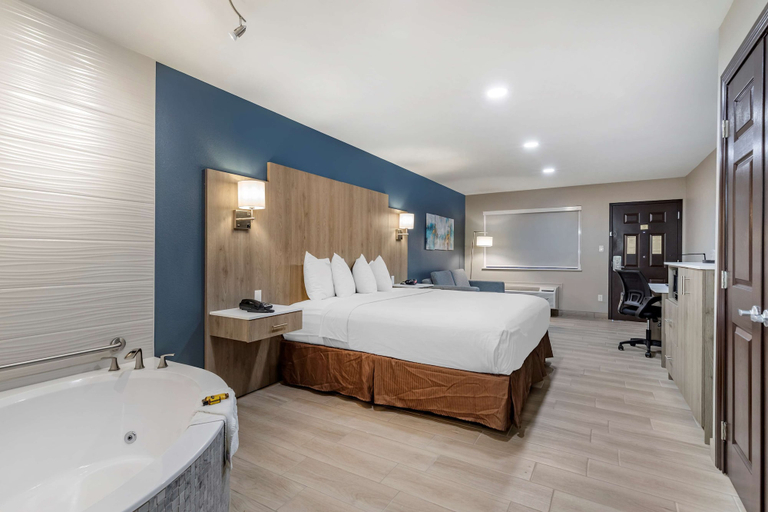 Bedroom 3, Best Western Plus Edinburg Inn & Suites, Hidalgo