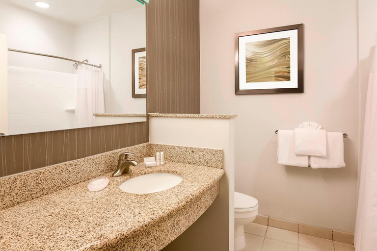 Bathroom 3, Courtyard Dallas Arlington South, Arlington