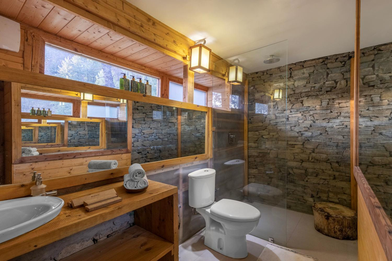 Bathroom 3, ELIVAAS Signature 4 BHK with Garden & Sauna - Skylounge, Shimla