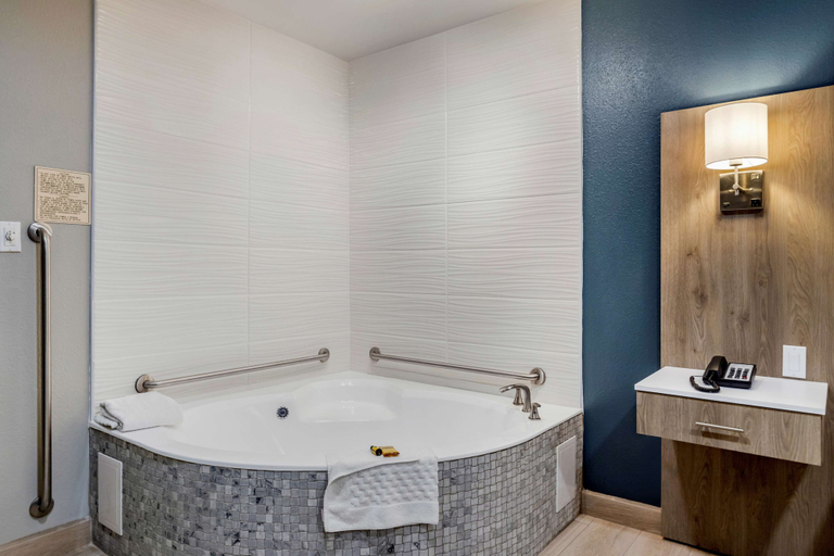 Bathroom 4, Best Western Plus Edinburg Inn & Suites, Hidalgo