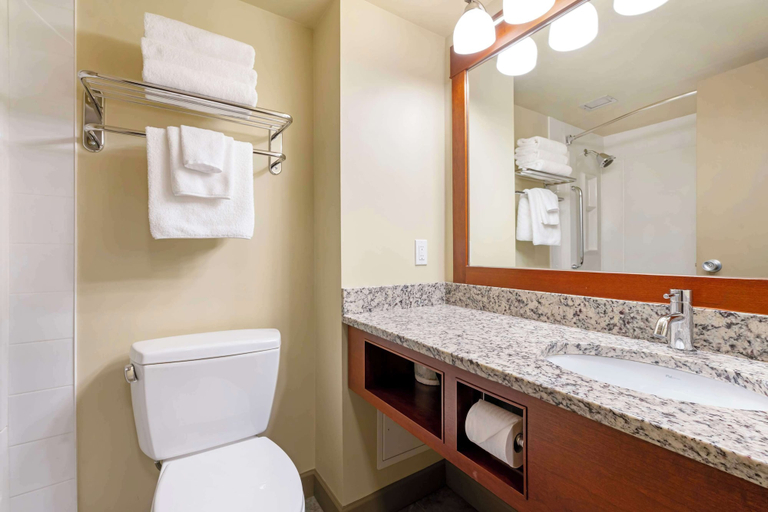 Bathroom 4, Best Western Plus Barclay Hotel, Alberni-Clayoquot