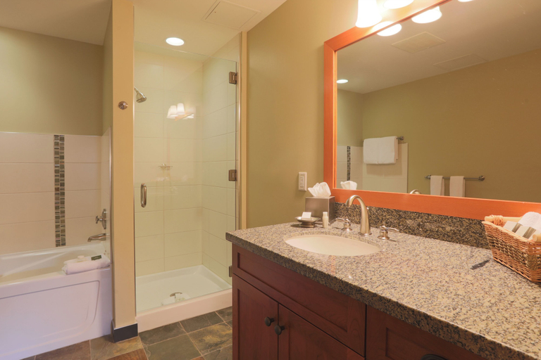 Bathroom, Capitol Peak- CoralTree Residence Collection, Pitkin