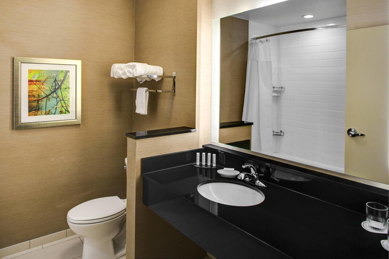 Bathroom 4, Fairfield Inn & Suites Douglas, Coffee