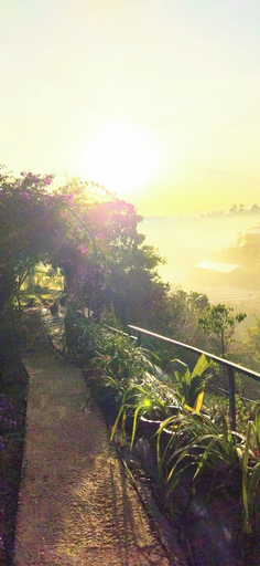 Others 5, Tuyet Hoa Hon Bo Bungalow, Đà Lạt