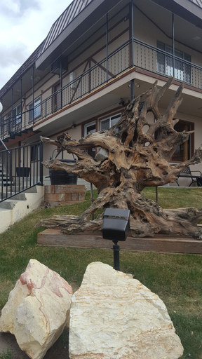 Bristlecone Motel, White Pine