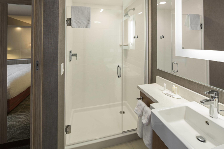 Bathroom, SpringHill Suites Kalispell, Flathead
