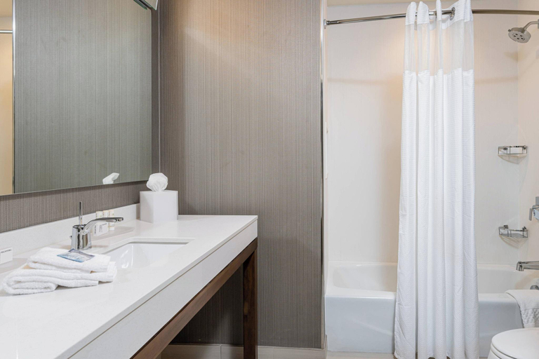 Bathroom 4, Courtyard by Marriott Asheville Biltmore Village, Buncombe