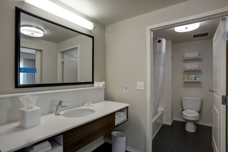 Bathroom 5, Hampton Inn & Suites Ardmore, Carter