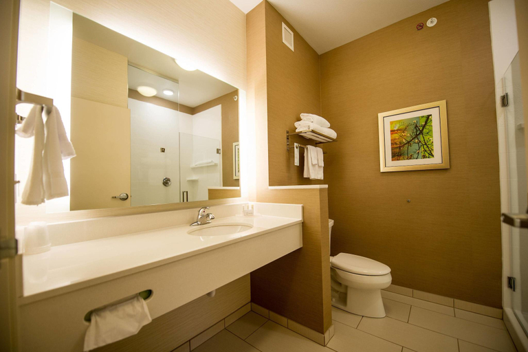 Bathroom 4, Fairfield Inn & Suites Cambridge, Guernsey