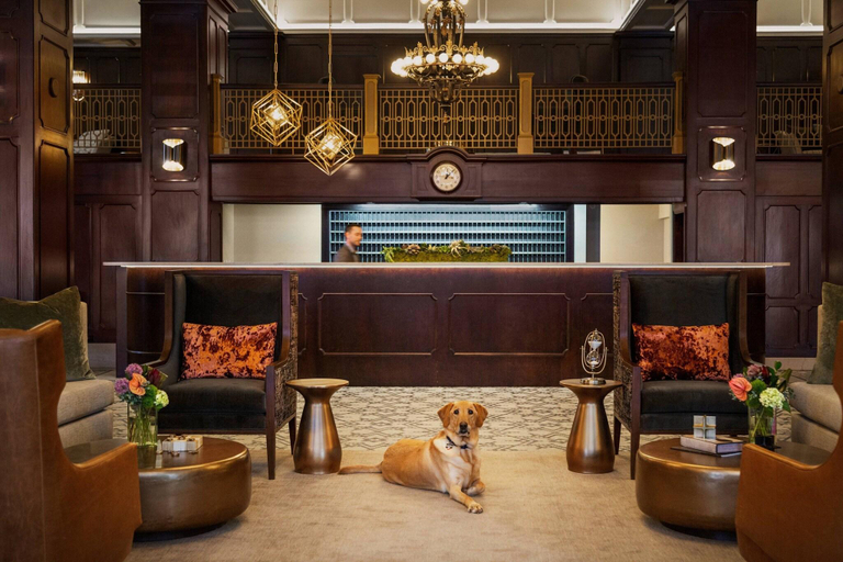 Public Area 2, Hotel Northland, Autograph Collection, Brown