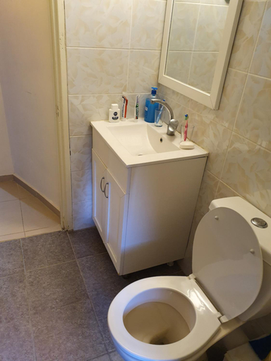 Bathroom 3, 3 Stairs Only to Cozy Flat on Hillel st